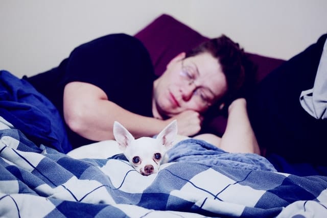 sleeping pics