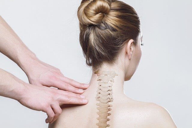 spine meaning in hindi
