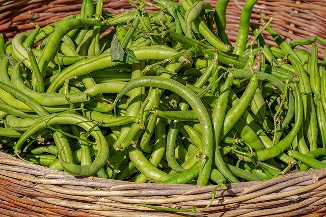 cluster beans