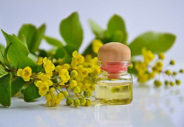 Medicine or cosmetic product