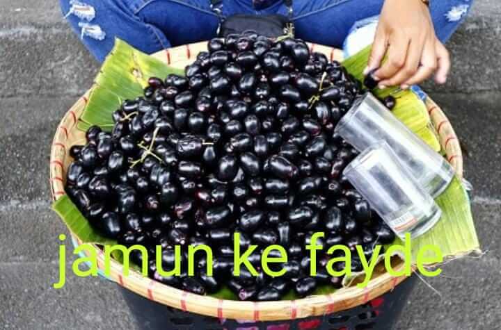 Jamun Ke Fayde Kya Hai