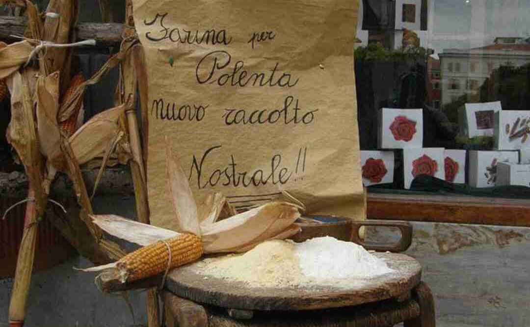 What Is Corn Flour In Hindi