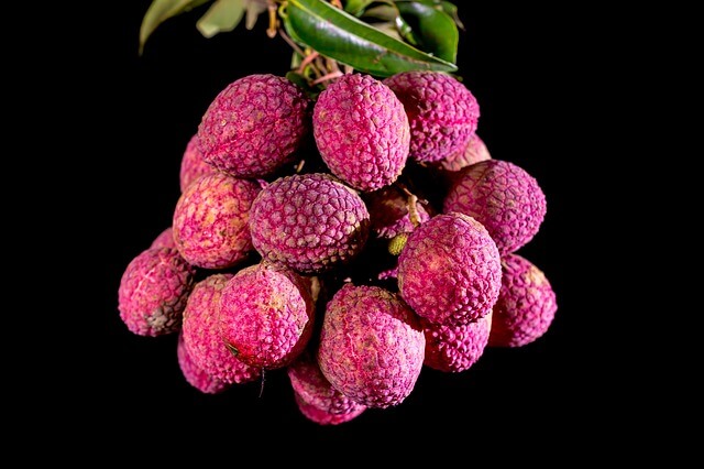 Litchi Khane Ke Faide Hindi Mein