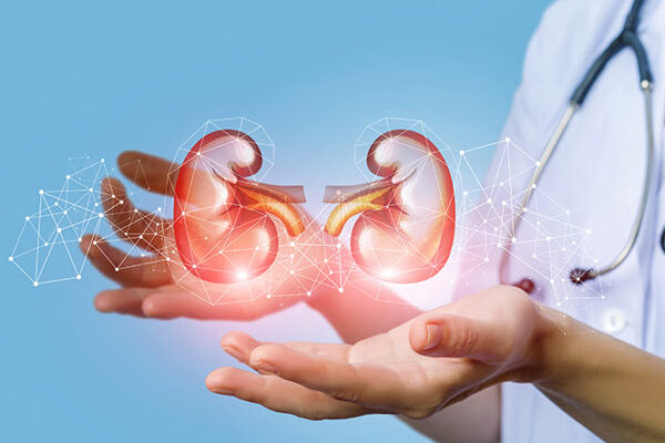 kidney ko kaise healthy rakhe