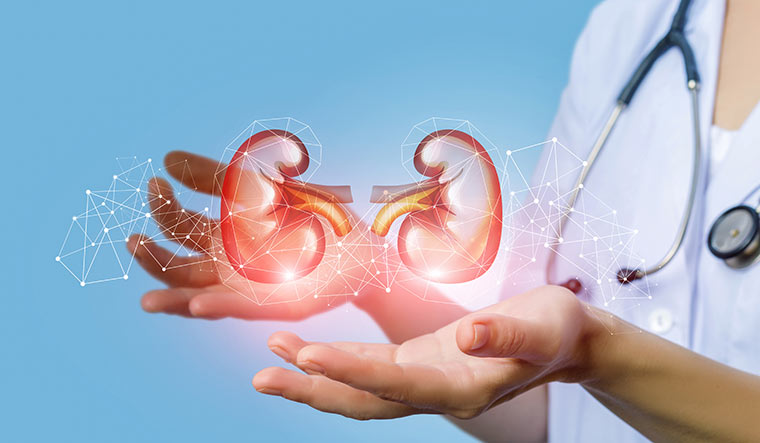 kidney ko kaise healthy rakhe