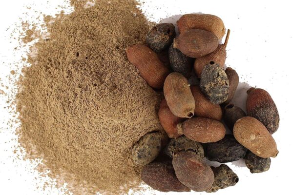 Jamun ki Guthli Powder ke Fayde
