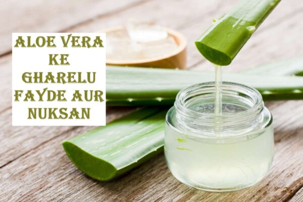 aloe vera ke gharelu fayde aur nuksan